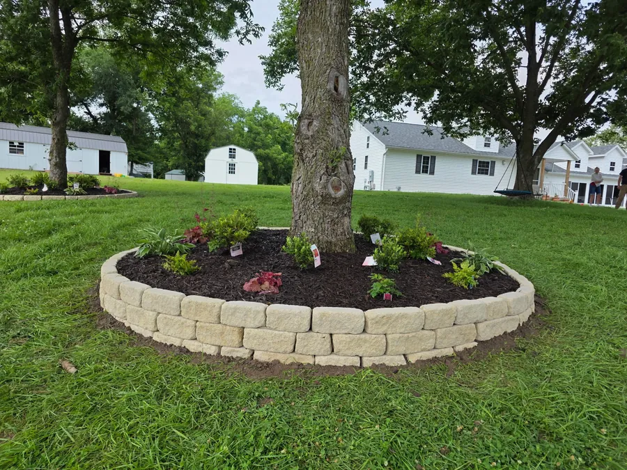 Tree ring with fresh mulch, flowers, and block edging